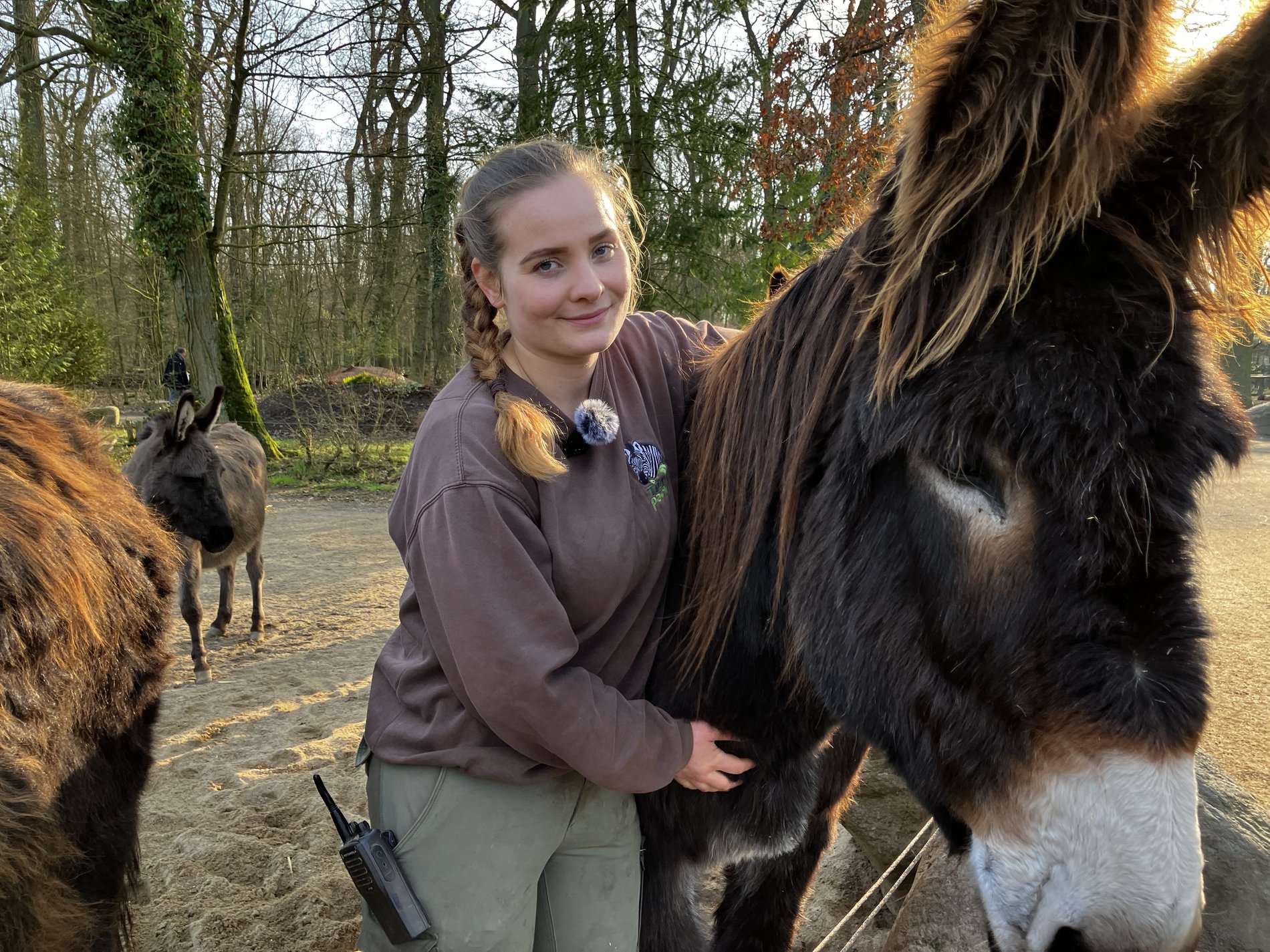 Tierzucht für mehr Nachhaltigkeit: Eine junge Frau legt einen Arm um den Kopf eines Zamorano-Esels.